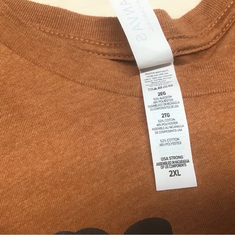 Fall pumpkins bundle of two Women’s 2X Darling Tees - Picture 3 of 7